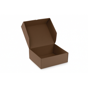 Karton fasonowy 300x260x110mm Mocha