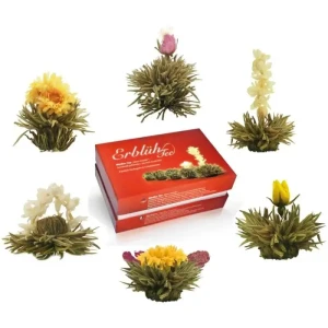 Creano Caixa com 6 Flores de Chá