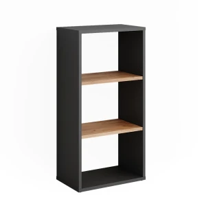 Armoire à chaussures Orlando Anthracite/chêne doré 40x80.1cm Vicco