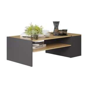 Table basse Rubby Chêne Artisan/Anthracite 110x60cm Vicco