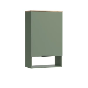 Hängeschrank  Wido Grün 60 x 100 cm mit Tür Vicco