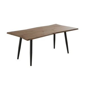 Stolik kawowy Yan Rzemieślnik 100 x 50 cm Vicco