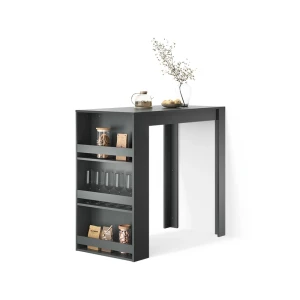Bartisch Regusa Anthrazit 57 x 117 cm livinity®