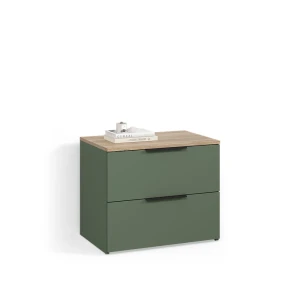 Kommode Piave Grün 60 x 50 cm mit 2 Schubladen livinity®