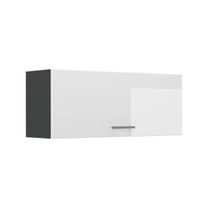 Wall cabinet R-Line White High Gloss/Anthracite 100 cm Flat Vicco