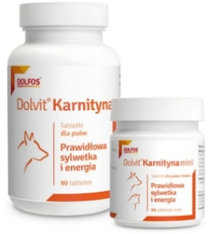 Dolvit Karnityna dla psa 800 g