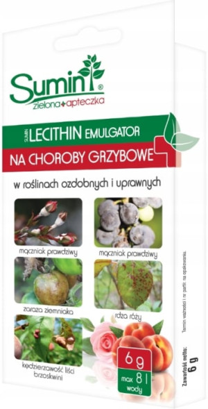 Sumin Lecithin 6 g (Data ważności 30.09.2026)