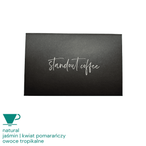 Standout Competition Panama Hacienda La Esmeralda Natural Gesha filter 100 g
