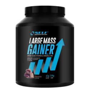 Self Omninutritions Self Large Mass Gainer 2 kg Cioccolato