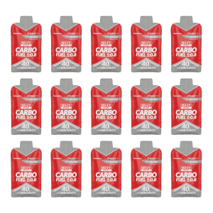WHY SPORT Carbo Fuel 1:0:8 Box 15X60 ml Gel Energizzante Neutro