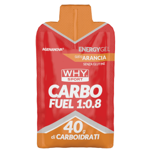 WHY SPORT Carbo Fuel 1:0:8 1X60 ml Gel Energizzante Arancia