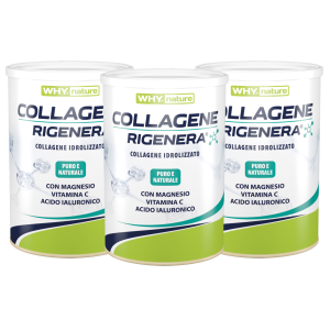 WHY SPORT WHY Nature Collagene Rigenera 3X330 gr