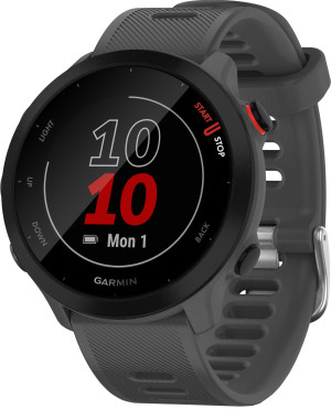 Smartwatch Garmin Forerunner 55 42 mm Monterra Grey (010-02562-13). Smartwatche