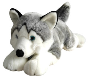 Maskotka Dubi Husky 62 cm (4548678011622). Maskotki