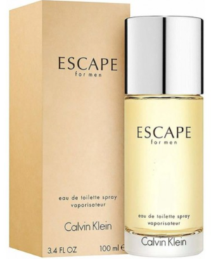 Woda toaletowa męska Calvin Klein Escape For Men 100 ml (088300100514). Perfumy męskie