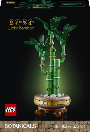 Zestaw klocków LEGO Botanicals Dracena sandera 325 elementów (10344). Klocki