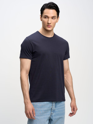 Koszulka męska Big Star Supiclassic 403 L Niebieski (5900714655136). T-shirty męskie