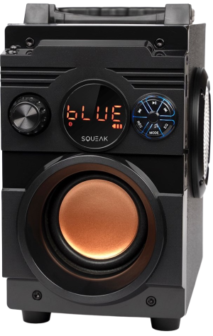 Głośnik przenośny Squeak BassBlaster Bluetooth 5.1 FM MP3 SQ1001 (5905610707019). Głośniki przenośne