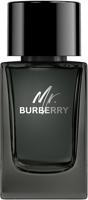 Woda perfumowana męska Burberry Mr. Burberry 100 ml (3616301838210). Perfumy męskie