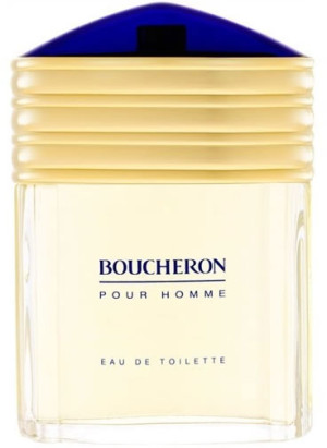 Woda toaletowa męska Boucheron Homme 100 ml (3386460036405). Perfumy męskie