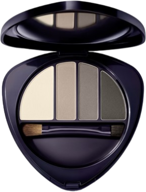 Cienie do powiek Dr. Hauschka Eye And Brow Palette 01 Stone satynowy 5.3 g (4020829098732). Cienie do powiek