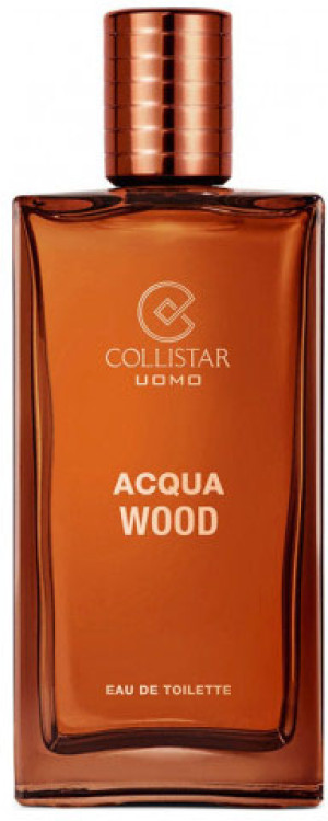 Woda toaletowa męska Collistar Acqua Wood 100 ml (8015150285490). Perfumy męskie