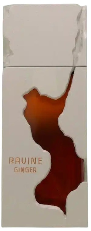 Perfumy unisex French Avenue Ravine Ginger 100 ml (6298042001923). Perfumy damskie