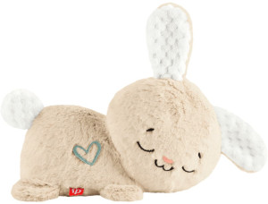 Zabawka Fisher-Price Śpiący Króliczek Usypiacz-Uspokajacz Przytulanka z dźwiękami dla niemowląt (194735229659). Zabawki dla niemowląt