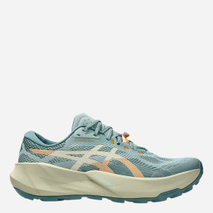 Buty do biegania męskie ASICS Trabuco 14 1011C166-401 41.5 Morskozielone (4571633758317). Buty sportowe męskie