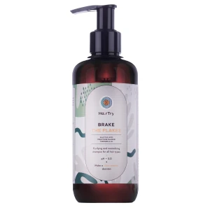 HairTry - Brake the flakes - Szampon normalizujący z kwasem salicylowym - 250ml