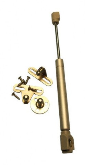 Siłownik 50 n 1017776