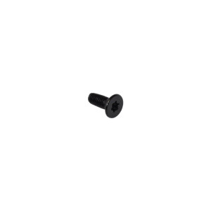 Śruba do lodówki Gorenje / Hisense M5x12 Torx T25 115853