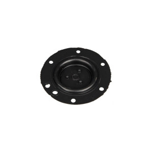 Membrana z bolcami do gazowego podgrzewacza wody PG-6 5235