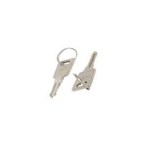Zestaw 2 kluczy do zamrażarki skrzyniowej Electrolux / AEG / Zanussi 4055081873