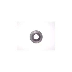 Simering do pralki Bosch / Siemens 28 x 62 x 10 RS/241-22