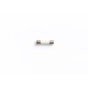 Bezpiecznik do kuchenki mikrofalowej Amica 10 A 250 V 1017220