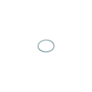 Uszczelka filtra do zmywarki Whirlpool 481246668503 C00319745