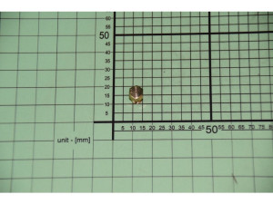 Dysza gazowa palnika do kuchenki i płyty gazowej Amica Defendi 28-30/37 mbar 0,50 mm 8041434