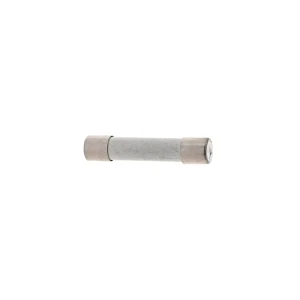 Bezpiecznik do kuchenki mikrofalowej Electrolux / AEG 4055169199