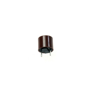 Bezpiecznik prądowy do kuchenki mikrofalowej Whirlpool / Indesit / Ariston / Hotpoint 160 mA 481925228132 C00317905