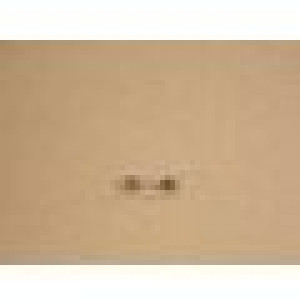Bezpiecznik do urządzeń Amica 5 x 20 mm 1,6 A 230 V 1009981