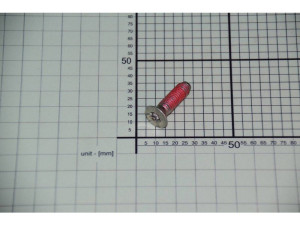 Śruba koła pasowego do pralki Amica M8x30 Torx 1031041