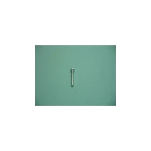 Śruba do zmywarki Amica ST 2,9 x 22 1015944