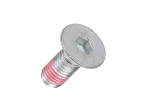 Śruba koła pasowego do pralki Electrolux / AEG M10x25 5191350270