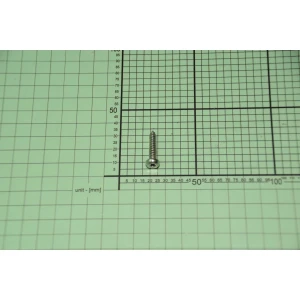 Śruba montażowa do lodówki i chłodziarko-zamrażarki Amica 5,5 x 25 1992983