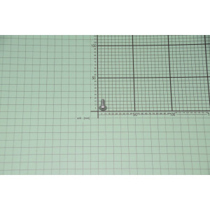 Wkręt do zmywarki Amica PT5x15 torx