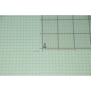Wkręt do zmywarki Amica PT5x15 torx