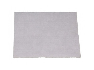 Filtr wlotowy do odkurzacza Amica 1022714