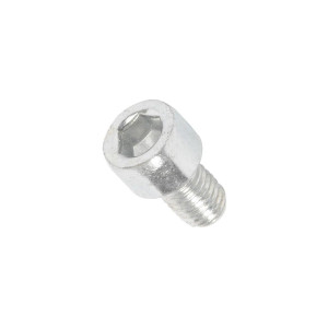 Śruba mocująca ocynkowana do ekspresu do kawy Electrolux / AEG M10x16 mm 50267820004