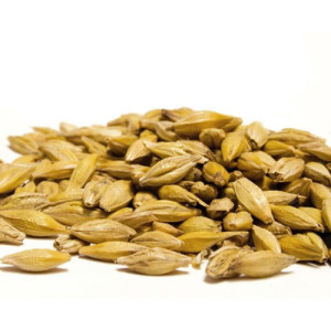 Castle Malting Malt Wheat Blanc (1 kg)
